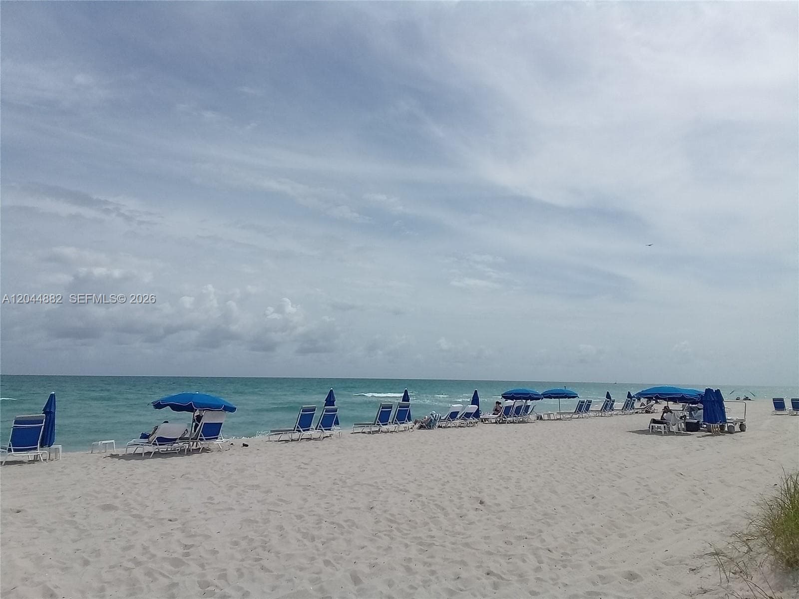 OCEAN