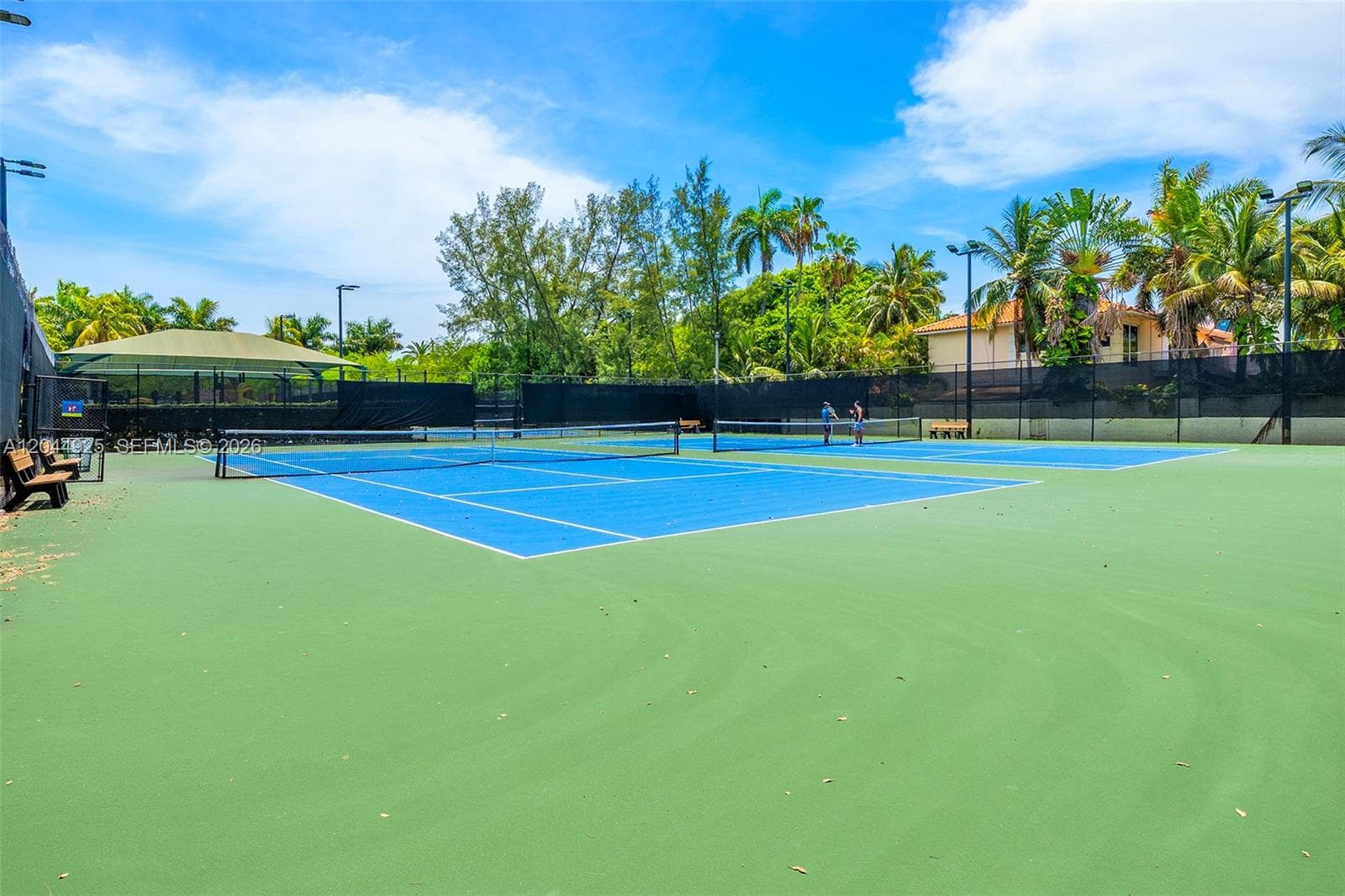 ISLAND CLUB OF SOUTH BEAC · #204 in Miami Beach - Photo 20