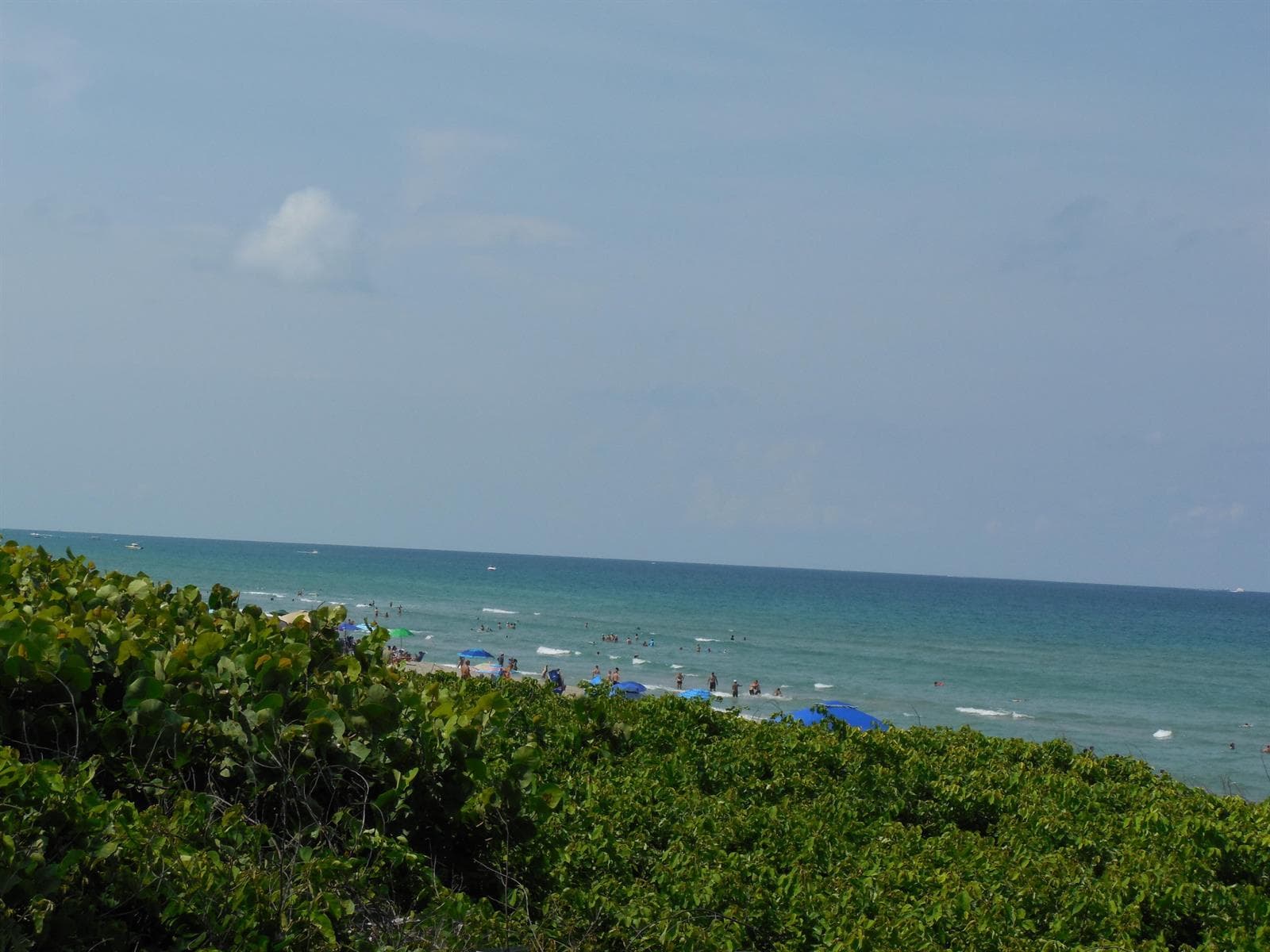 DSCN1619
