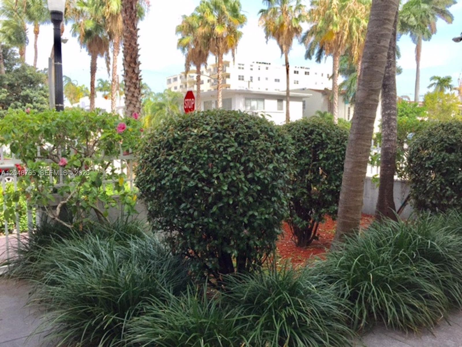 THE LEXINGTON EUCLID · #201 in Miami Beach - Photo 11