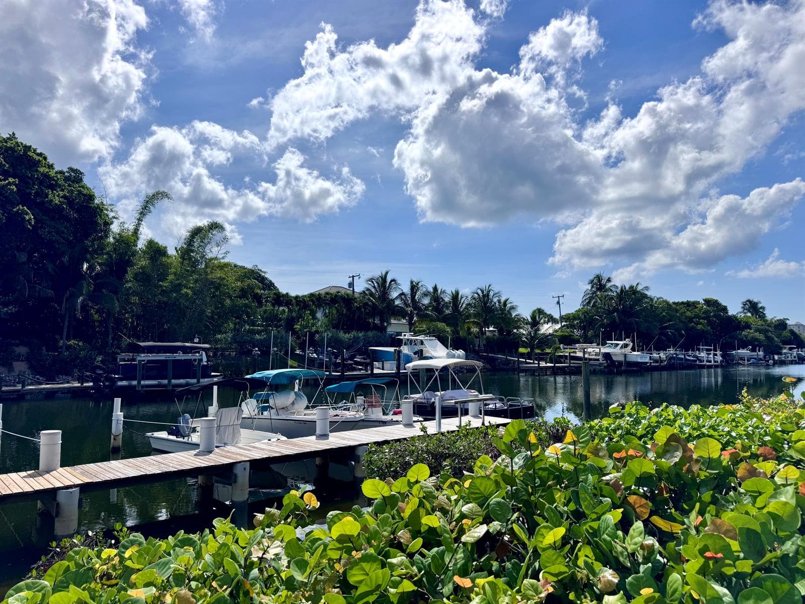 Waterfront View 2