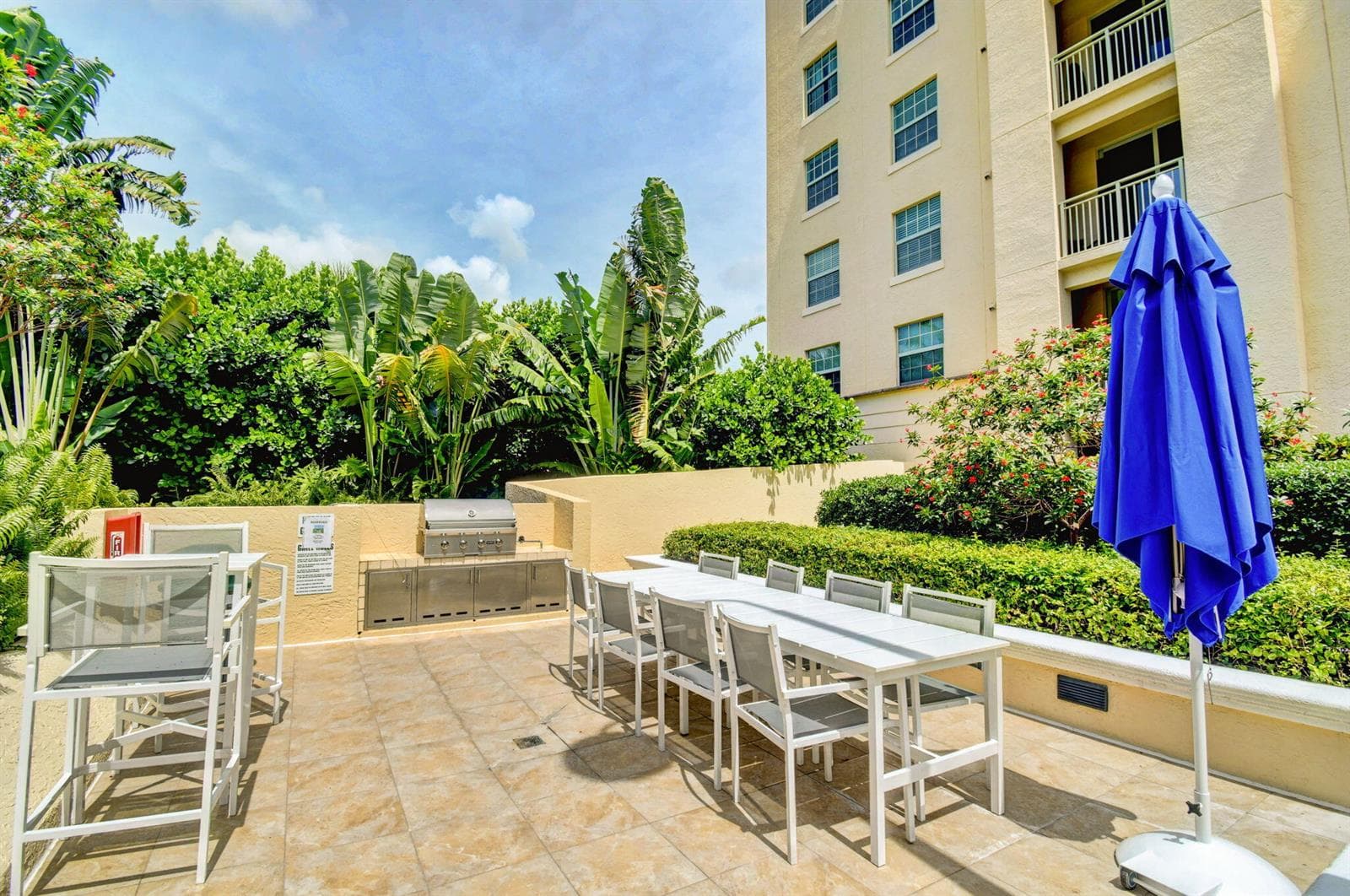 48-web-or-mls-37_610 clematis (10)
