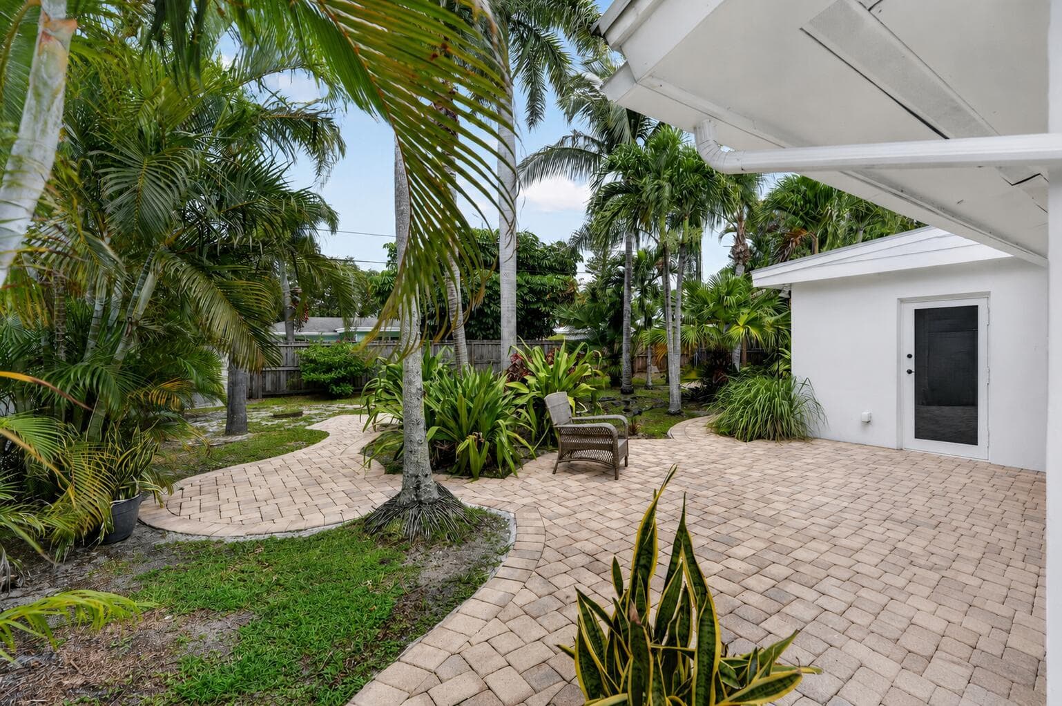 Backyard