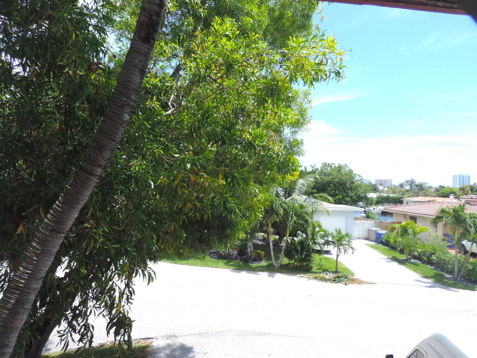 DSCN0453