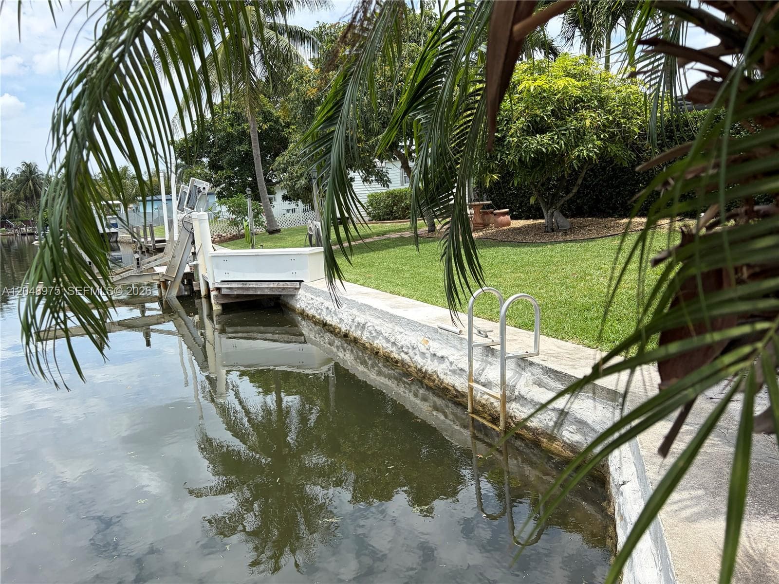 Just beyond the Avocado Tree is your Seawall and Dock