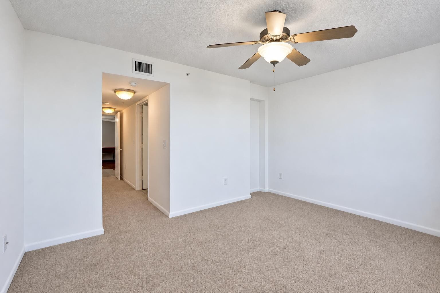 Main Bedroom- hallway
