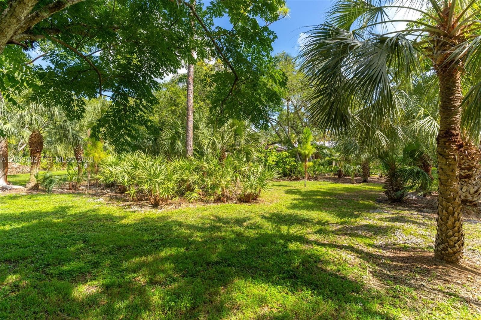 PINELAND PRESERVE