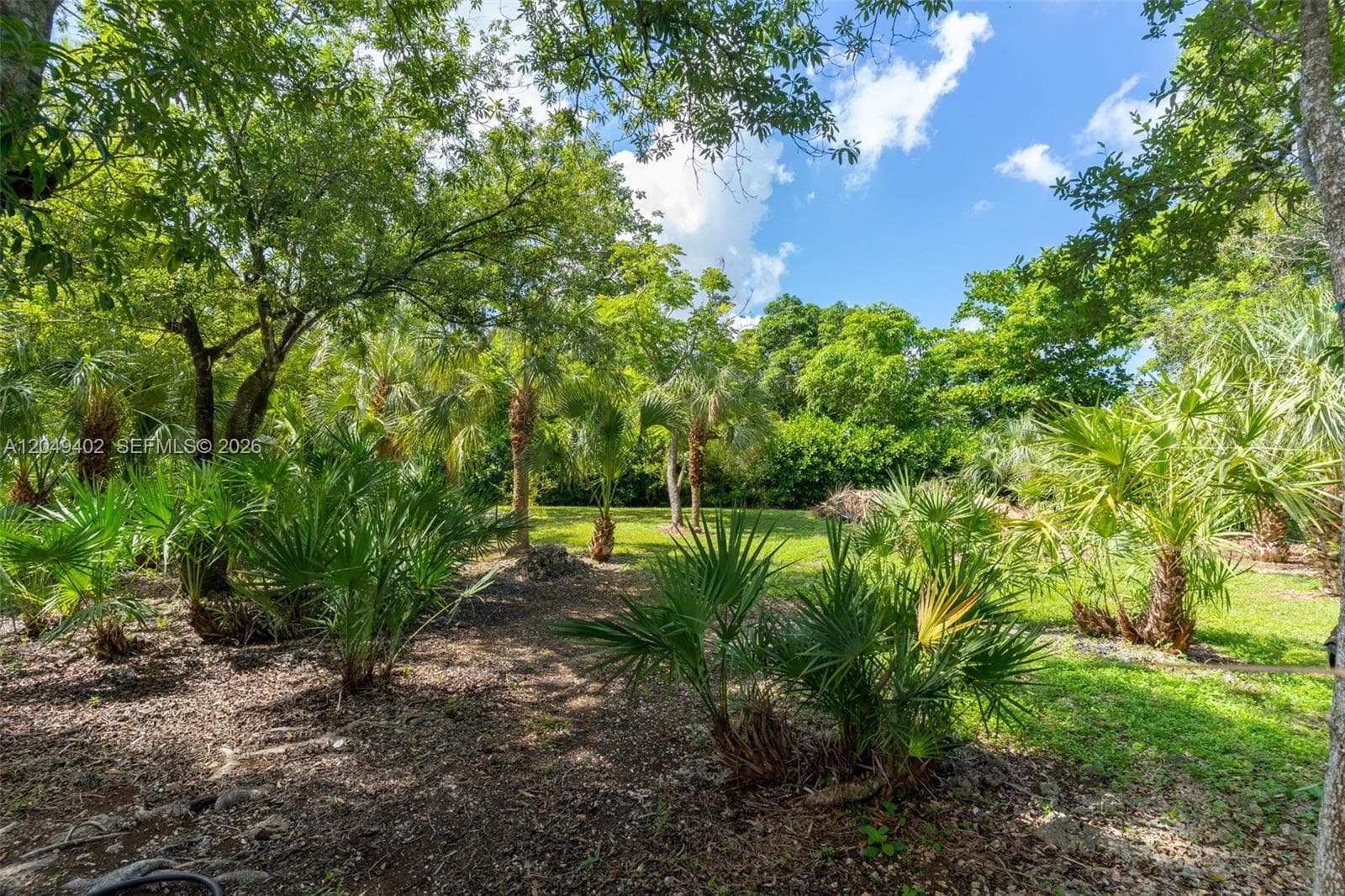 PINELAND PRESERVE