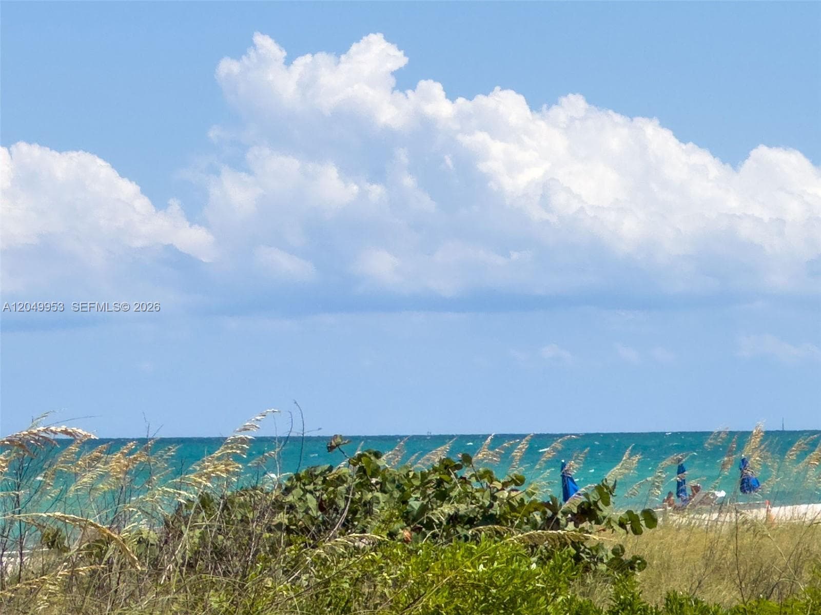CAPOBELLA CONDO · #1707 in Miami Beach - Photo 42