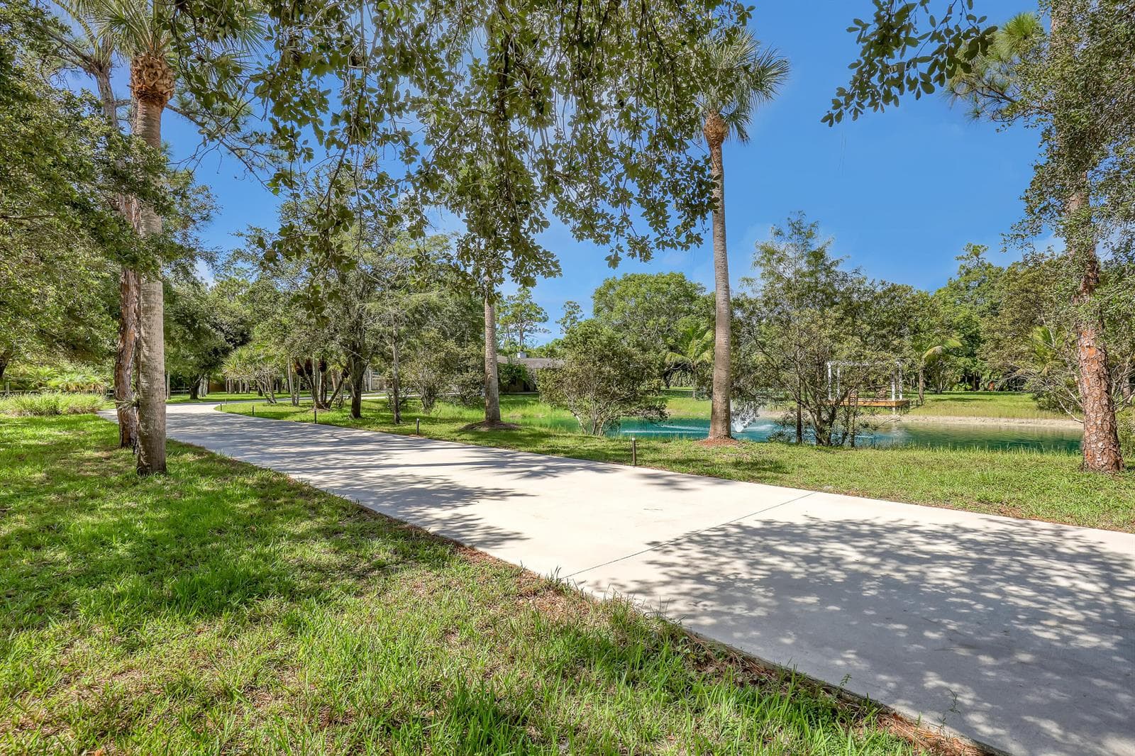 Driveway