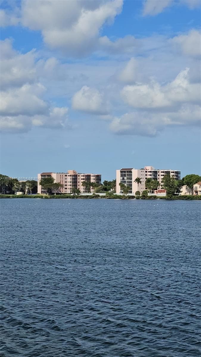 Lakeview of the Californi · #302-5 in Miami - Photo 45