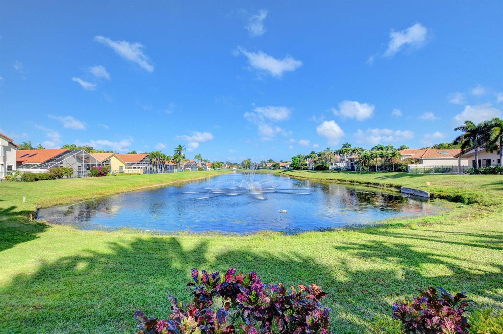 100-web-or-mls-103_ebf_8766and4more