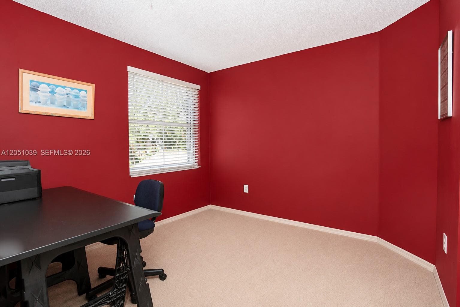 1115 Weeping Willow Way photo 18