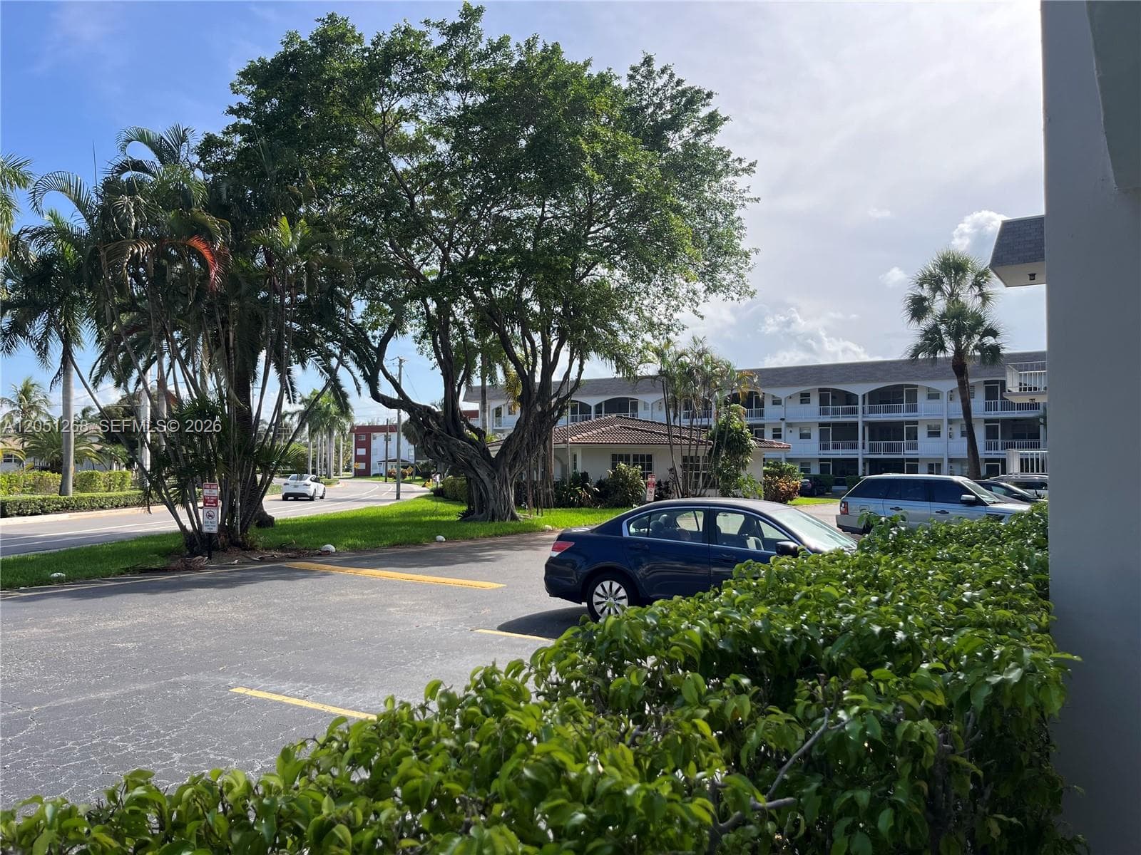501 Blue Heron Dr. · #306 A in Hallandale Beach - Photo 3