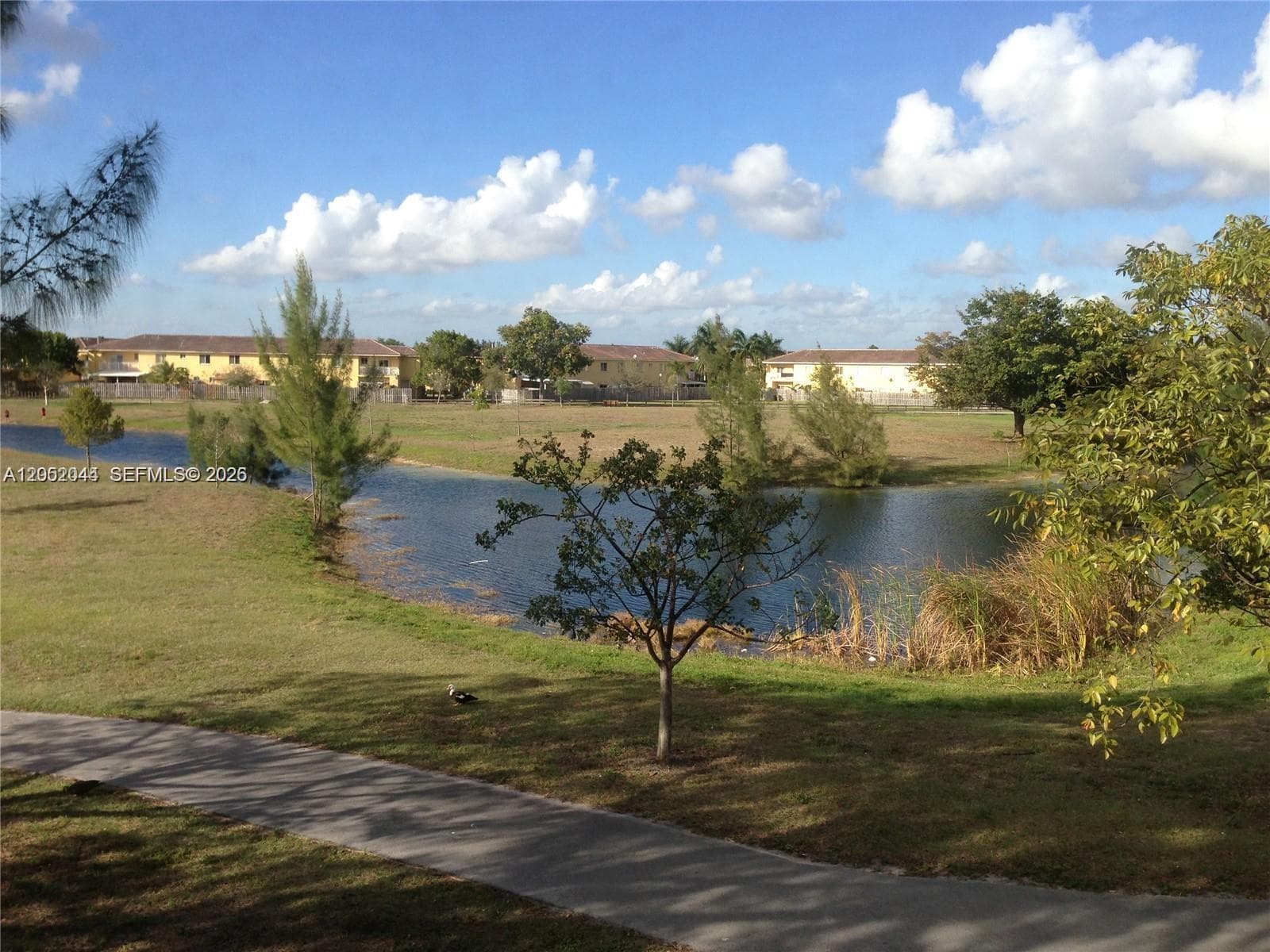 7245 NW 173rd Dr #2502 photo 8