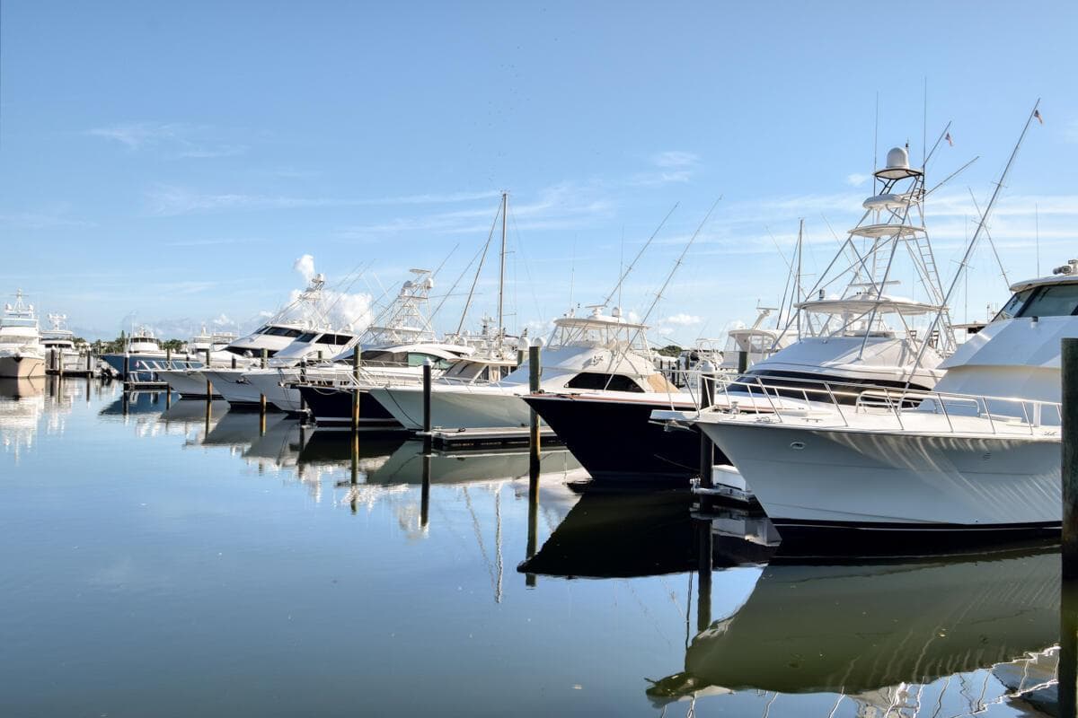 Old Port Cove Yachts