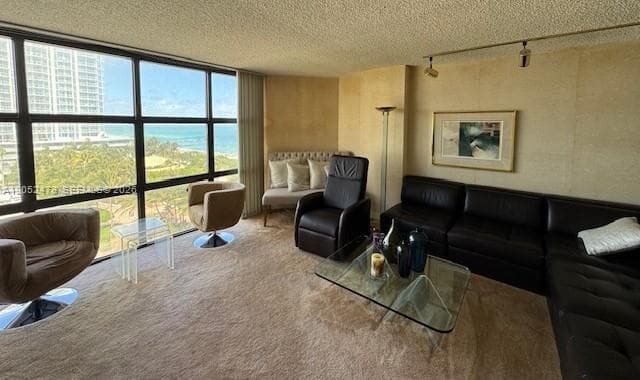 MAR DEL PLATA CONDO · #809 in Miami Beach - Photo 2