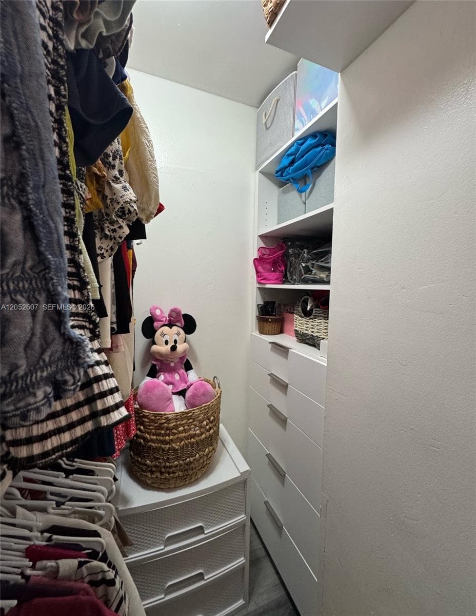 primary bd closet