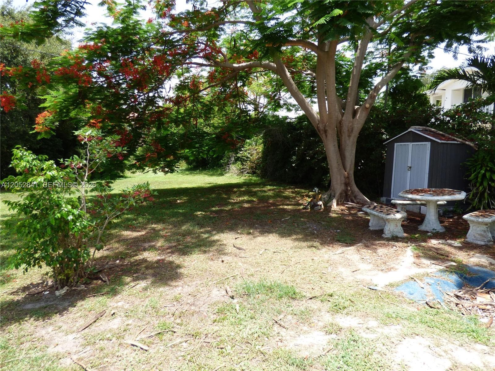 HOLLYWOOD LITTLE RANCHES · #1 in Hollywood - Photo 4