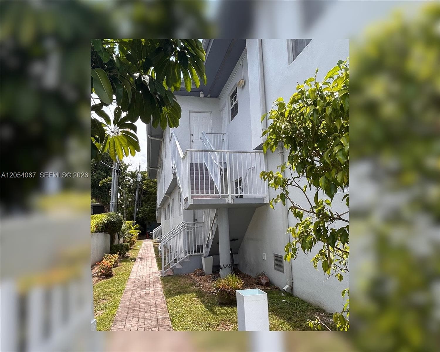 outside view of back door