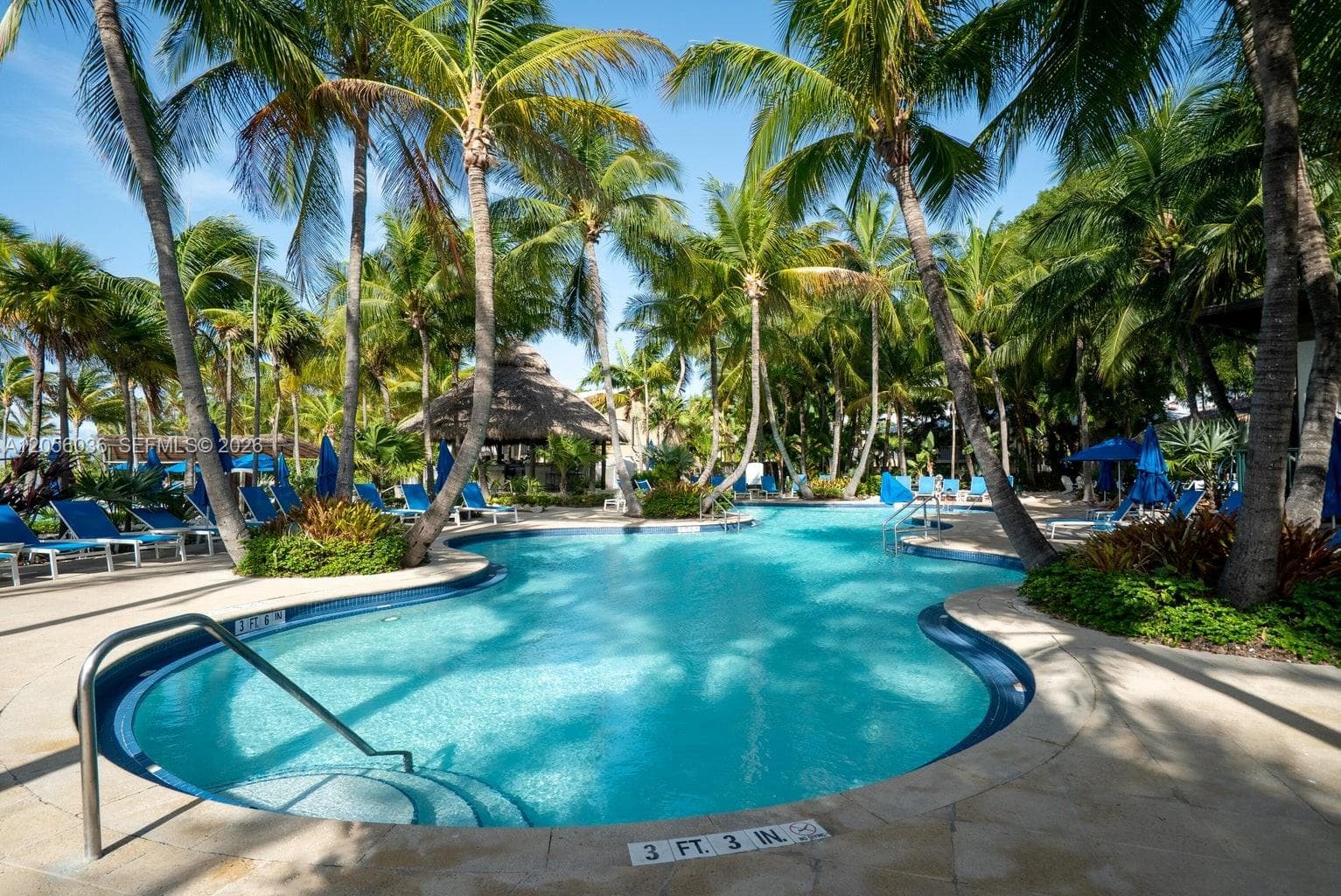 Cheeca Lodge · #754 in Islamorada - Photo 31
