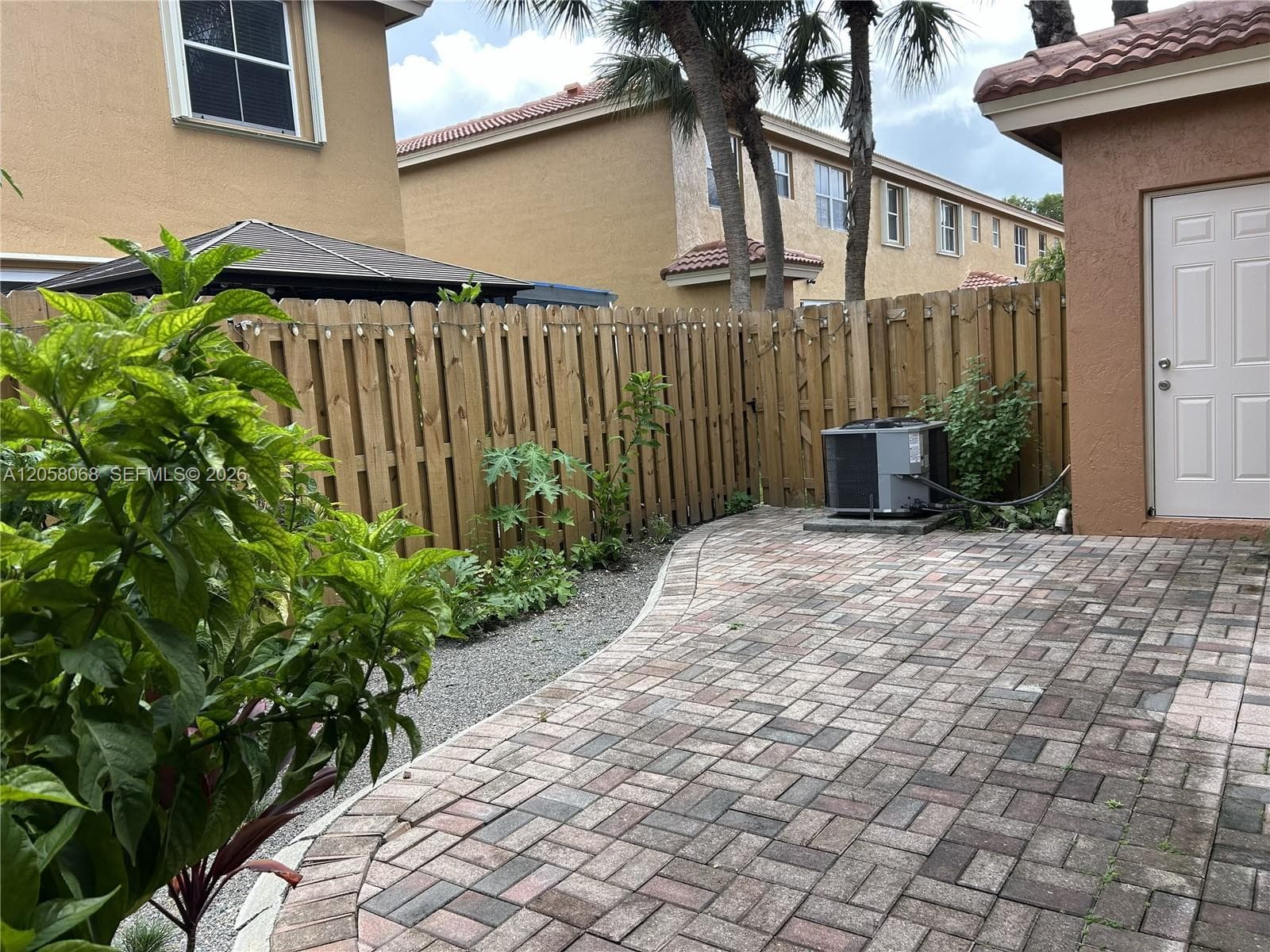 Back yard