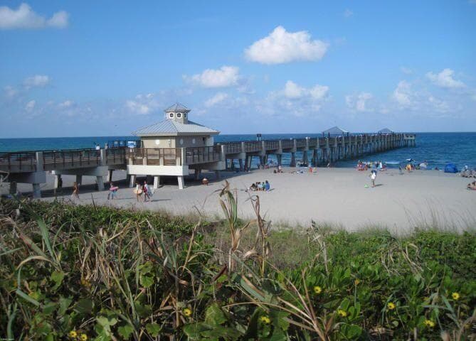 pic 6