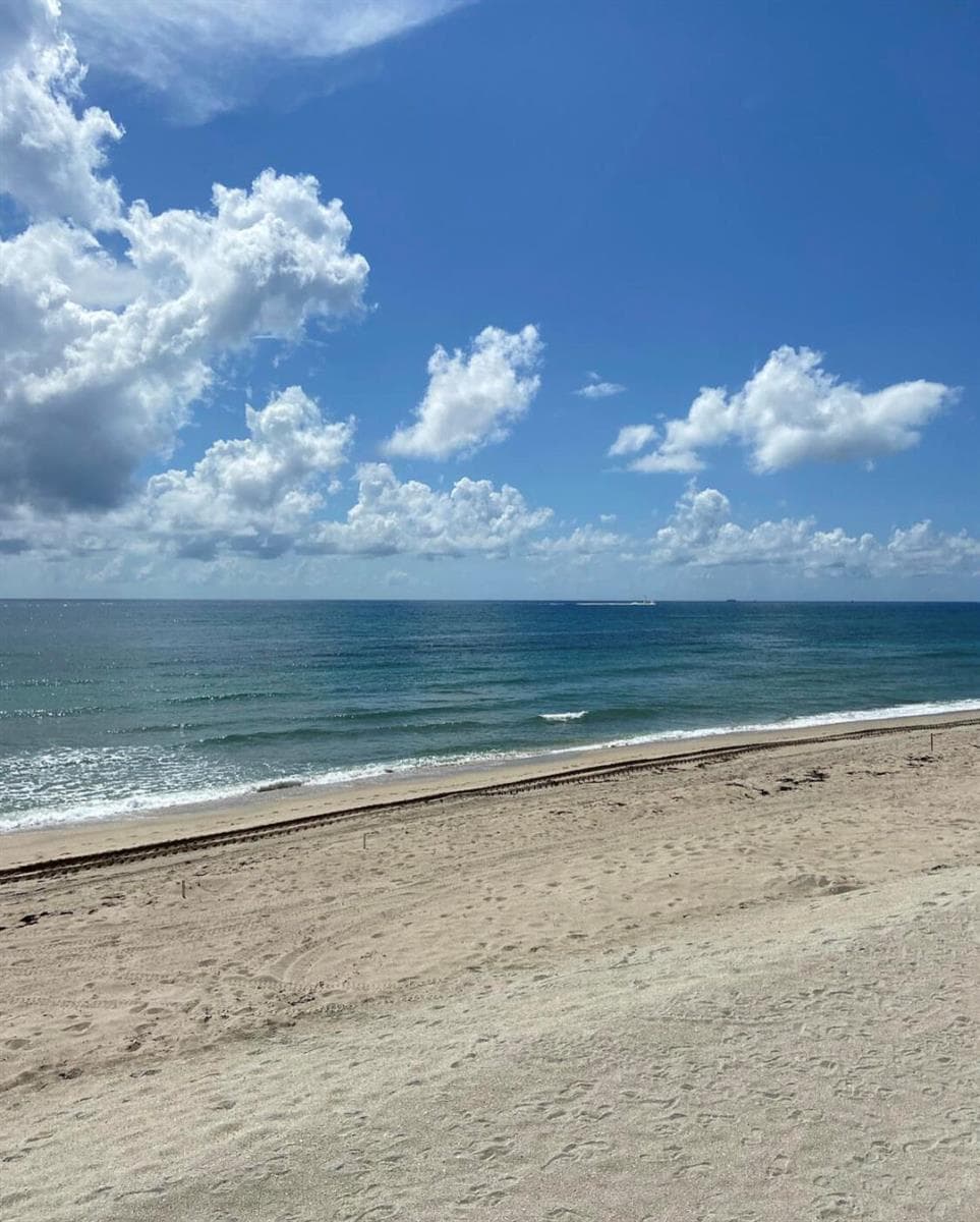 Ocean at the Patrician