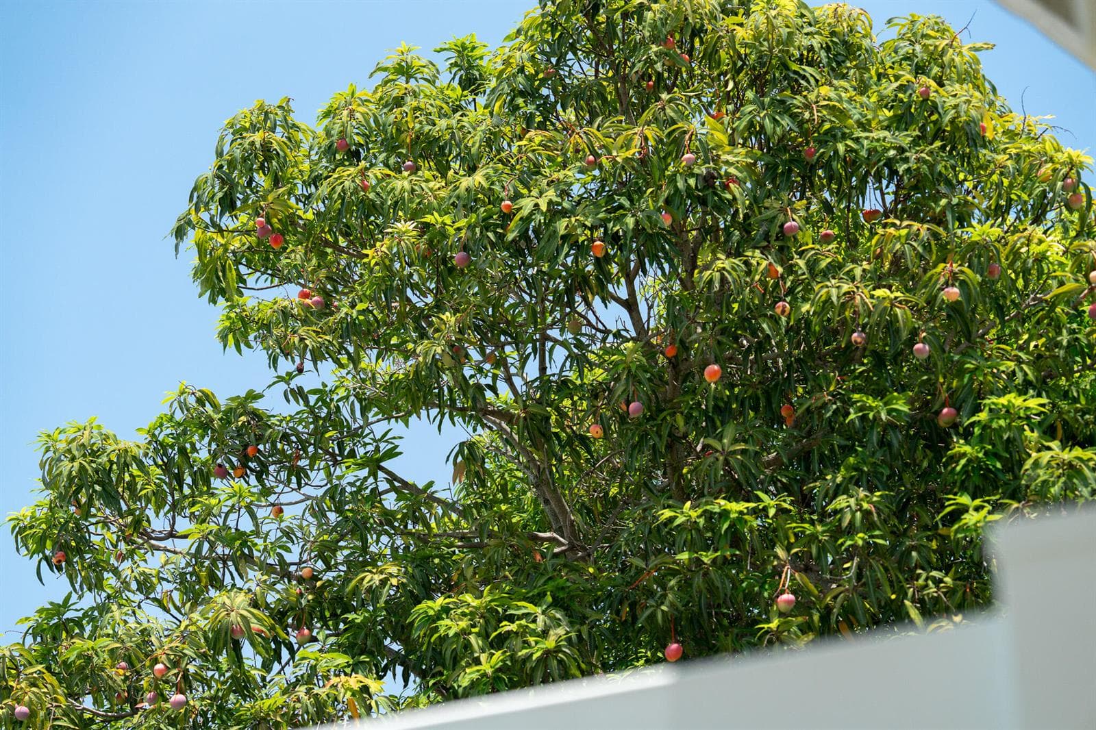 DSC09719