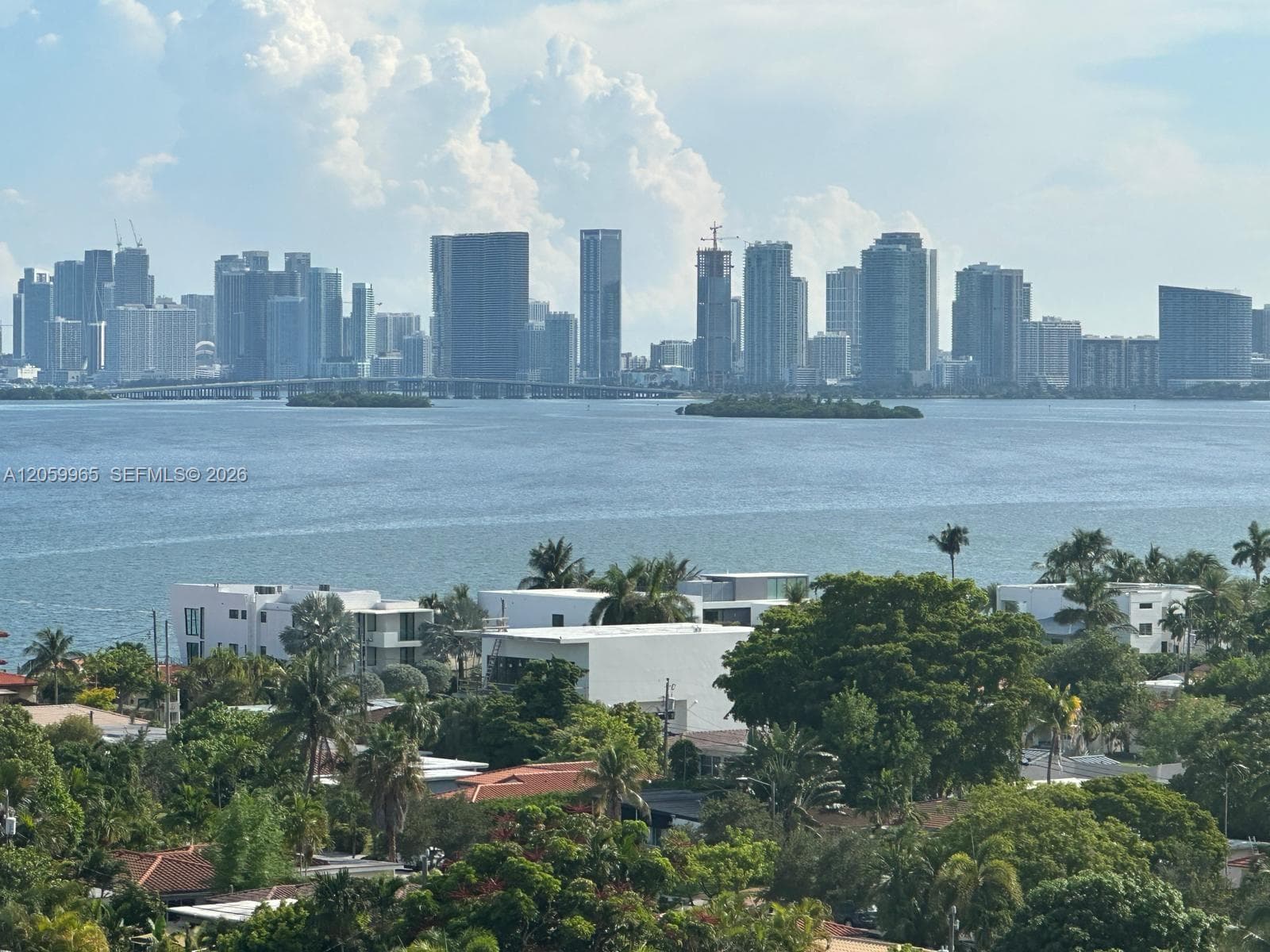 Downtown Miami View