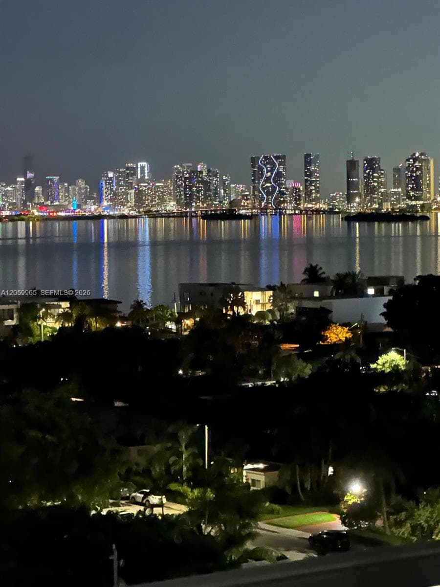 Miami Skyline Night