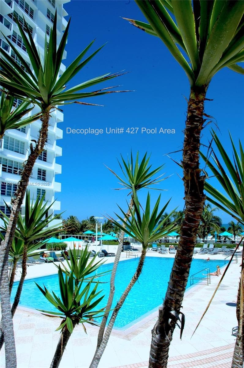 The Decoplage · #427 in Miami Beach - Photo 7