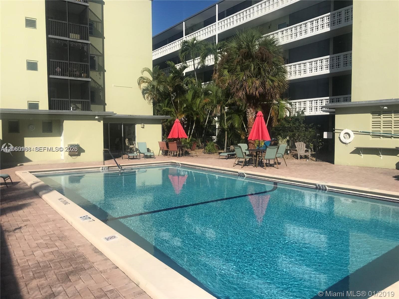 Inground swimming pool with tiled surround and brick paver decking, surrounded by mature palm trees and multi-story building exterior with private balconies