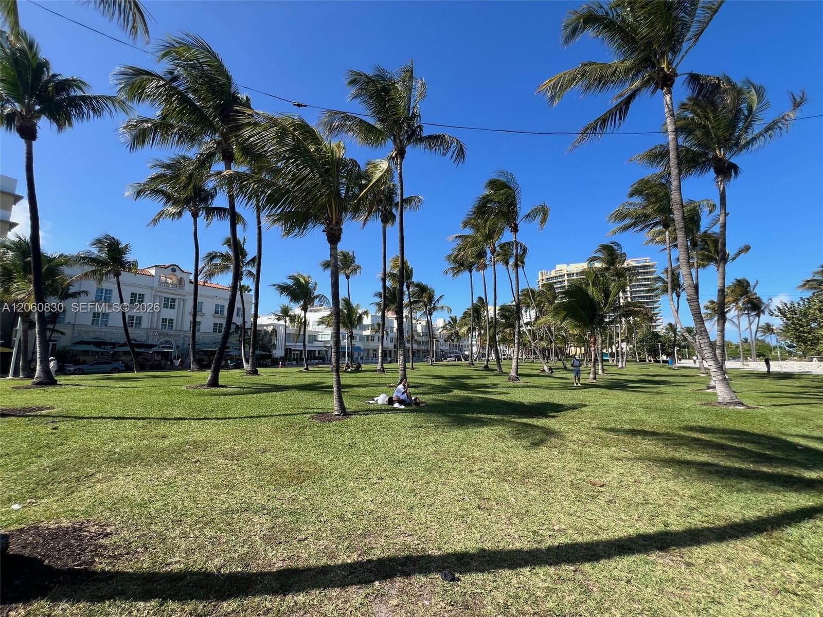 Ocean Drive
