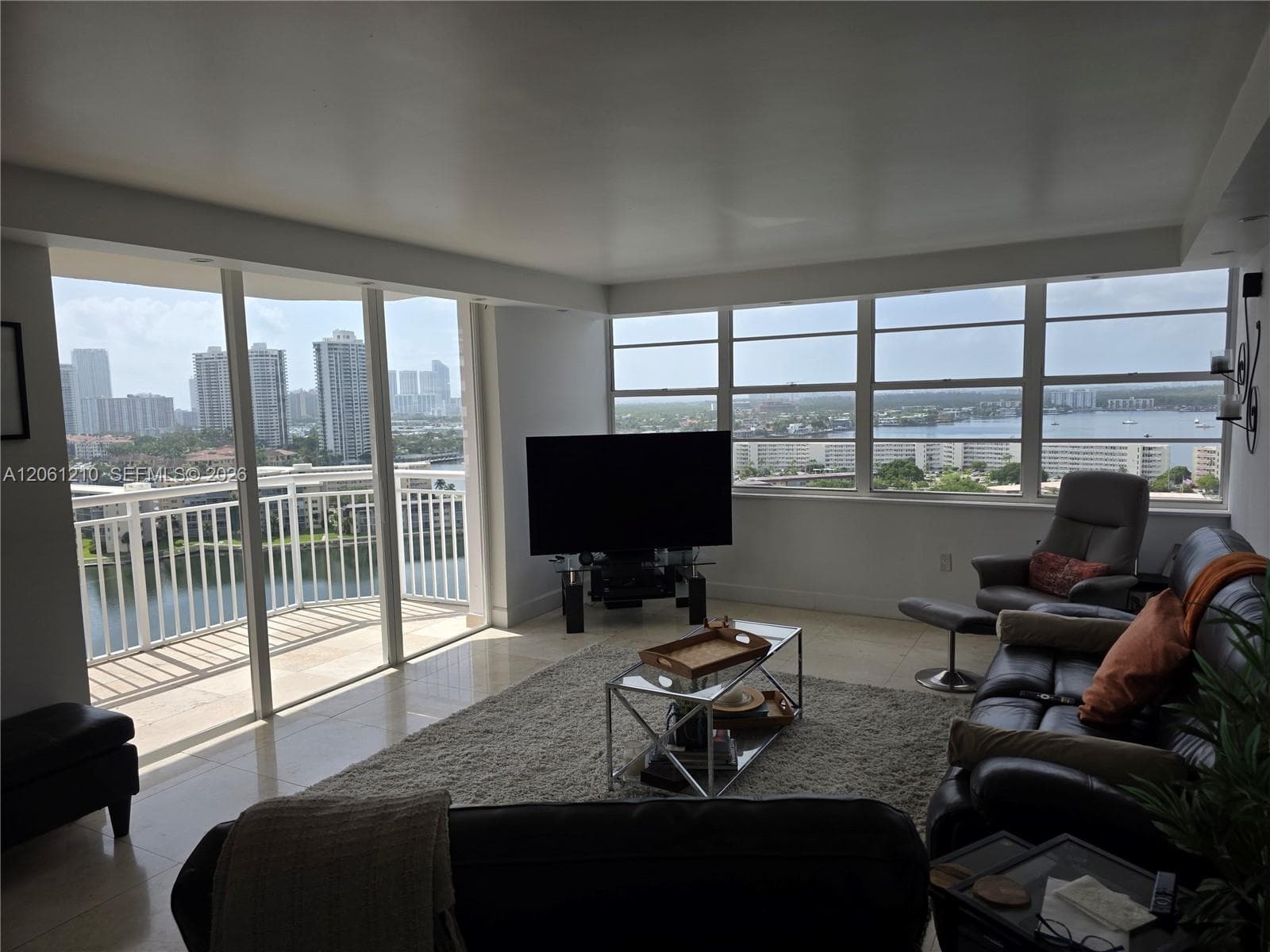 Living Room views