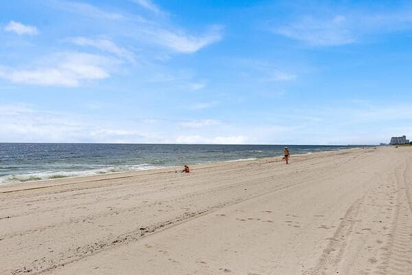 IMG_1919-M - Copy