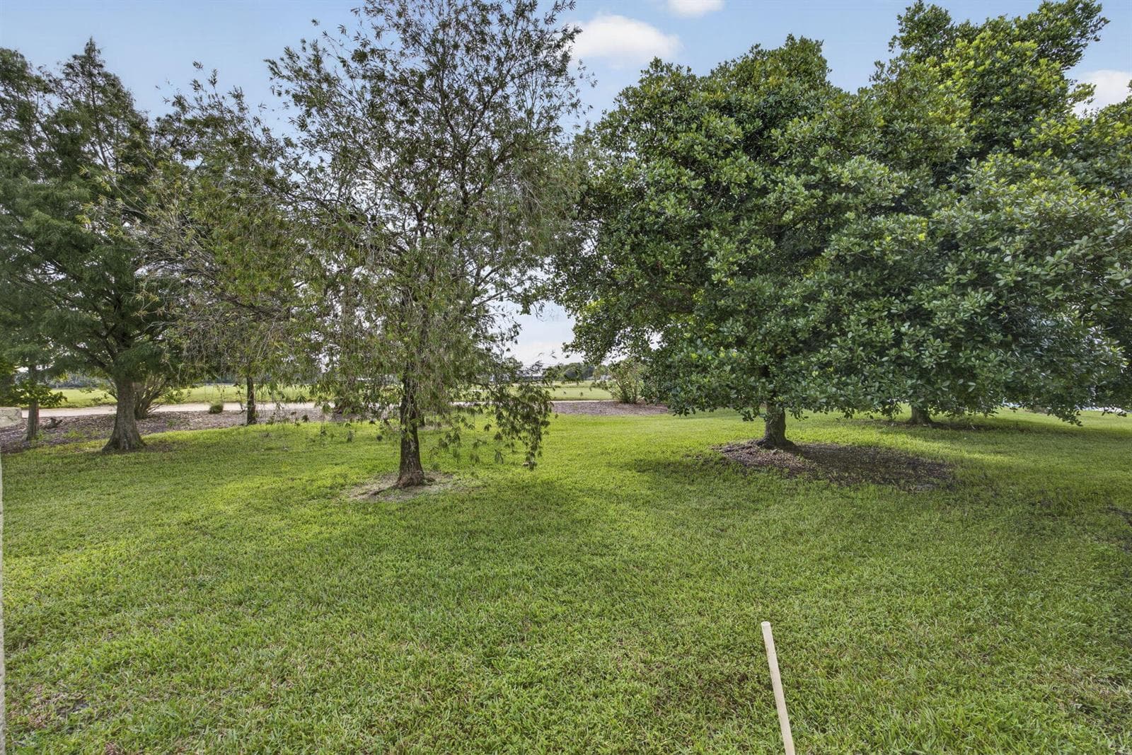 49-web-or-mls-BS1A5715