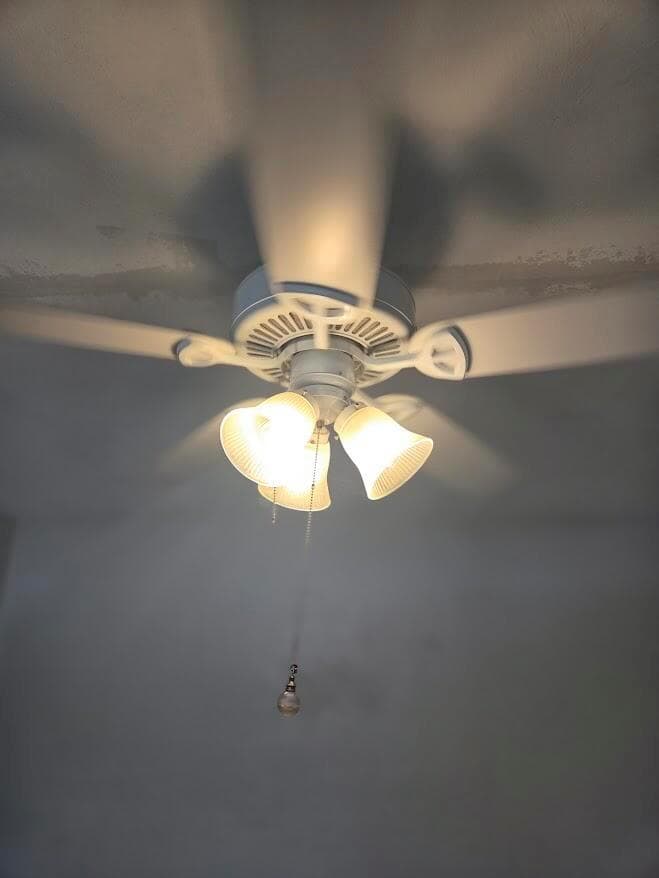 Ceiling Fan in Living Dining Room