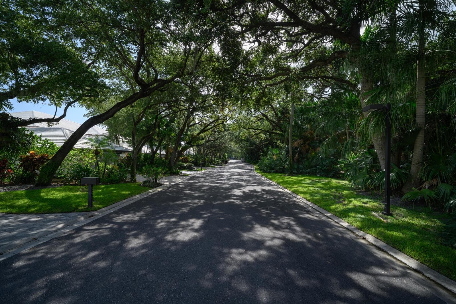 Beautiful tunnel street