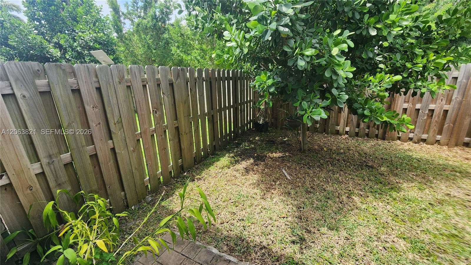24504 SW 119th Pl photo 27