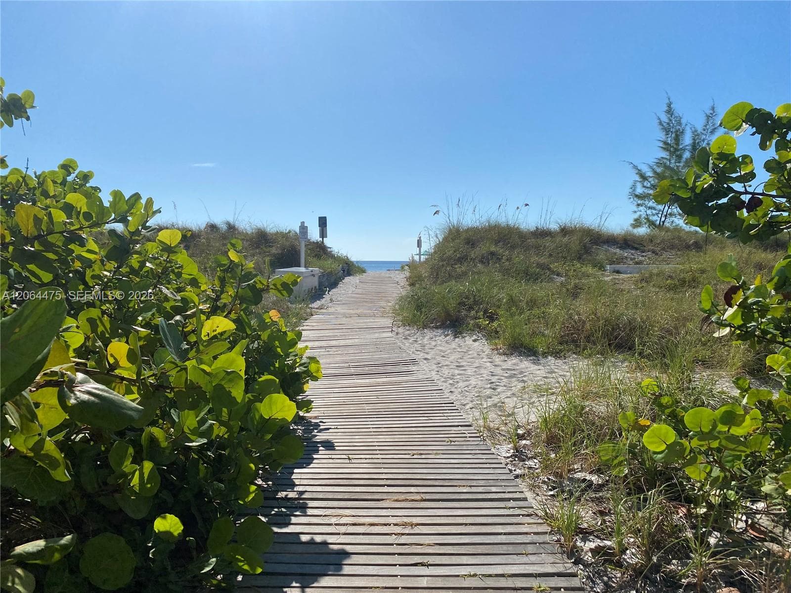 Commodore Club East · #713 in Key Biscayne - Photo 19