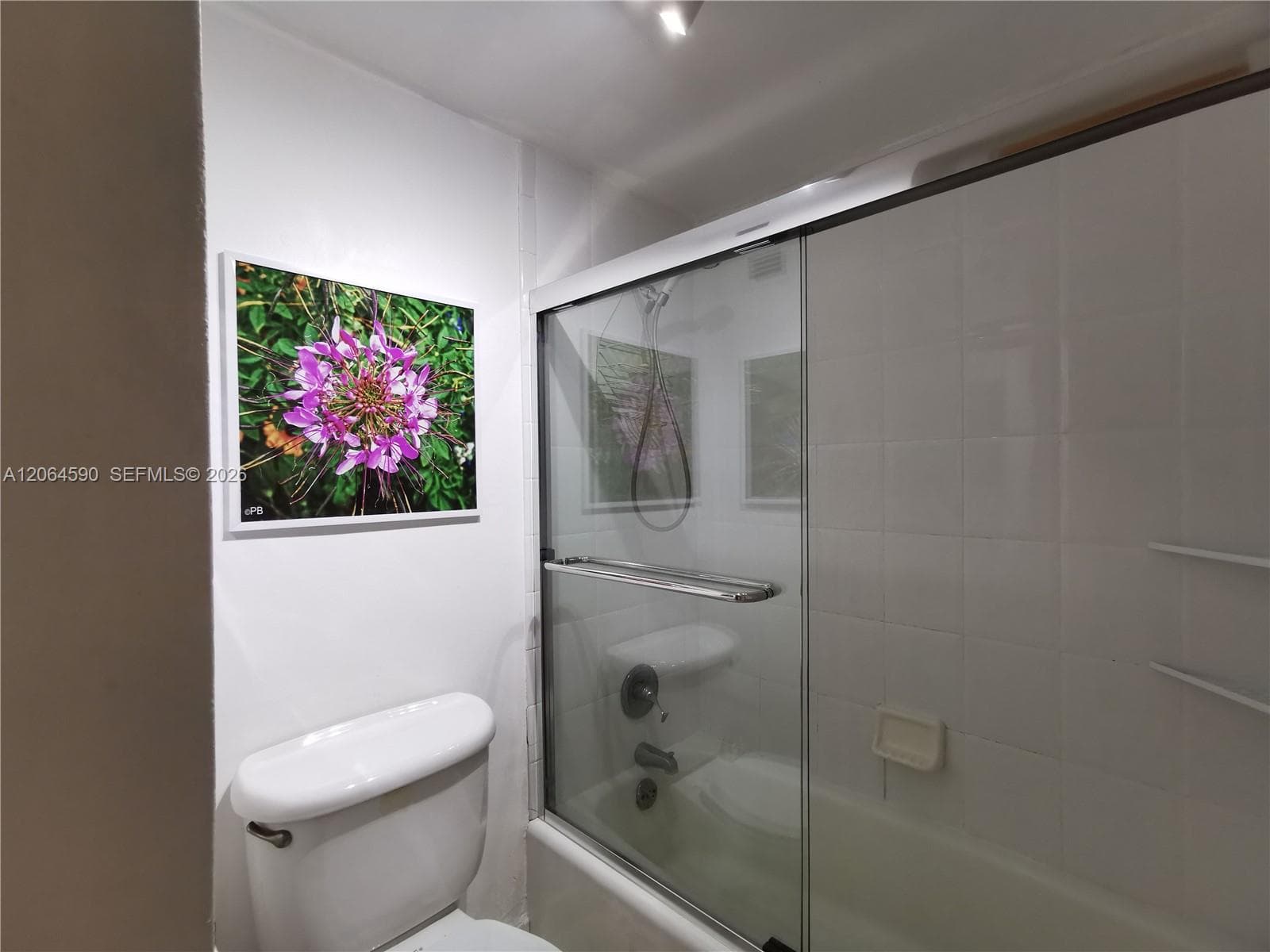 Combined shower and tub with glass door