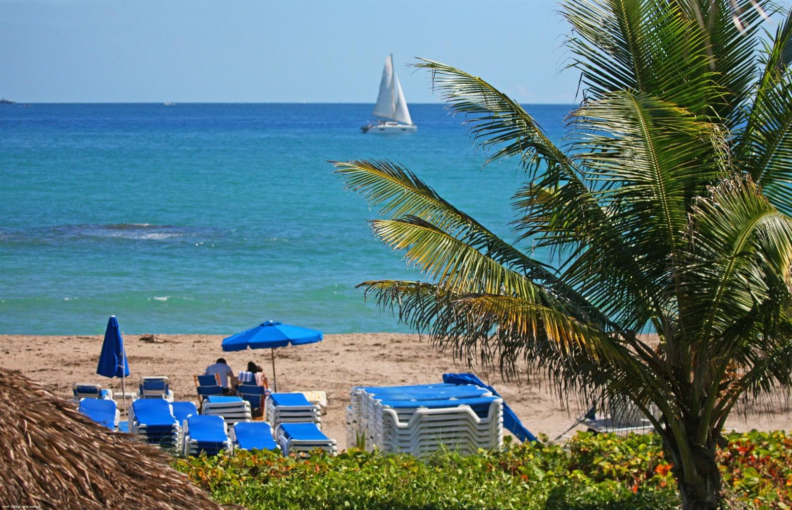Resort at Singer Island Beach AAP 2025