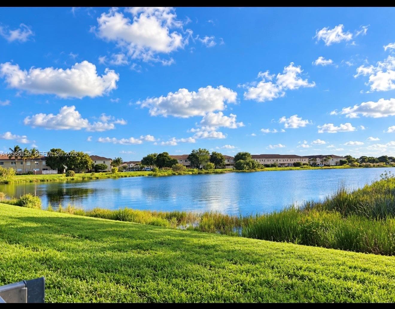 Waterfront property featuring a manicured lawn, natural reeds, and landscape greenery