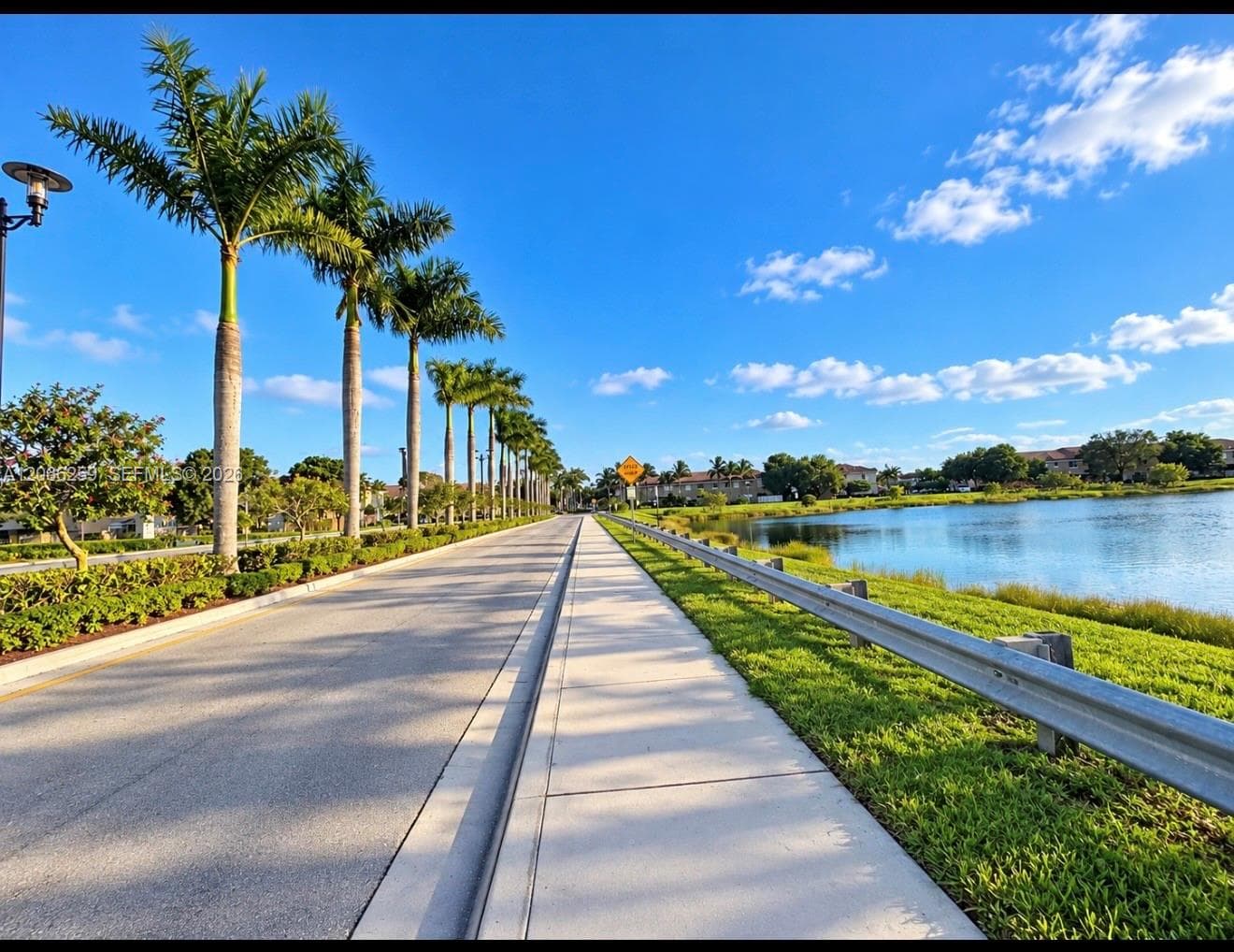 Paved roadway lined with mature palm trees, concrete sidewalk, and expansive water frontage