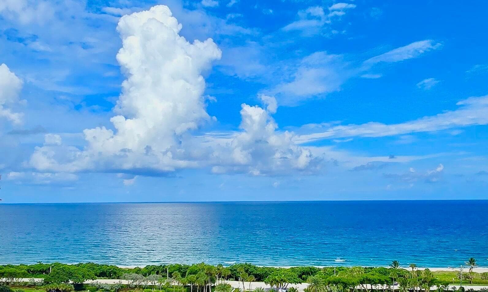 VIEW: UNOBSTRUCTED OCEAN PANORAMAS