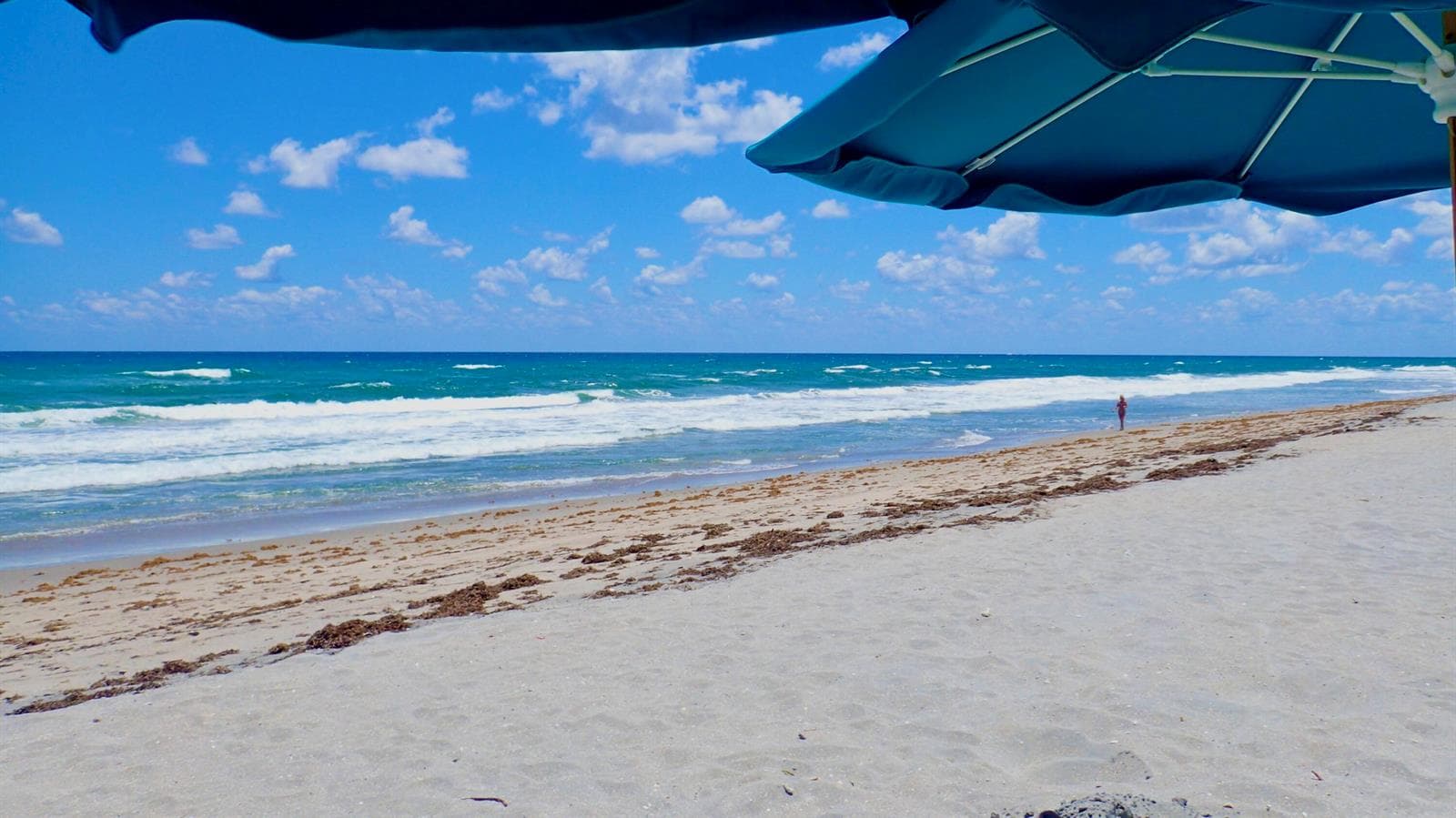 PRISTINE PRIVATE BEACHES