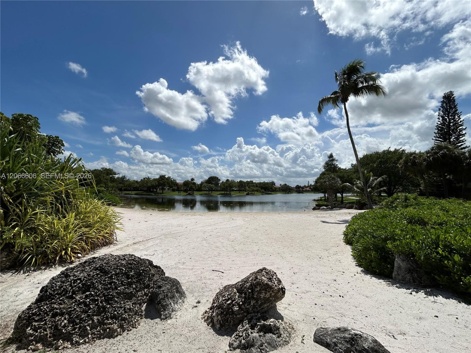 BANYAN TREE · #203 in Miami - Photo 2