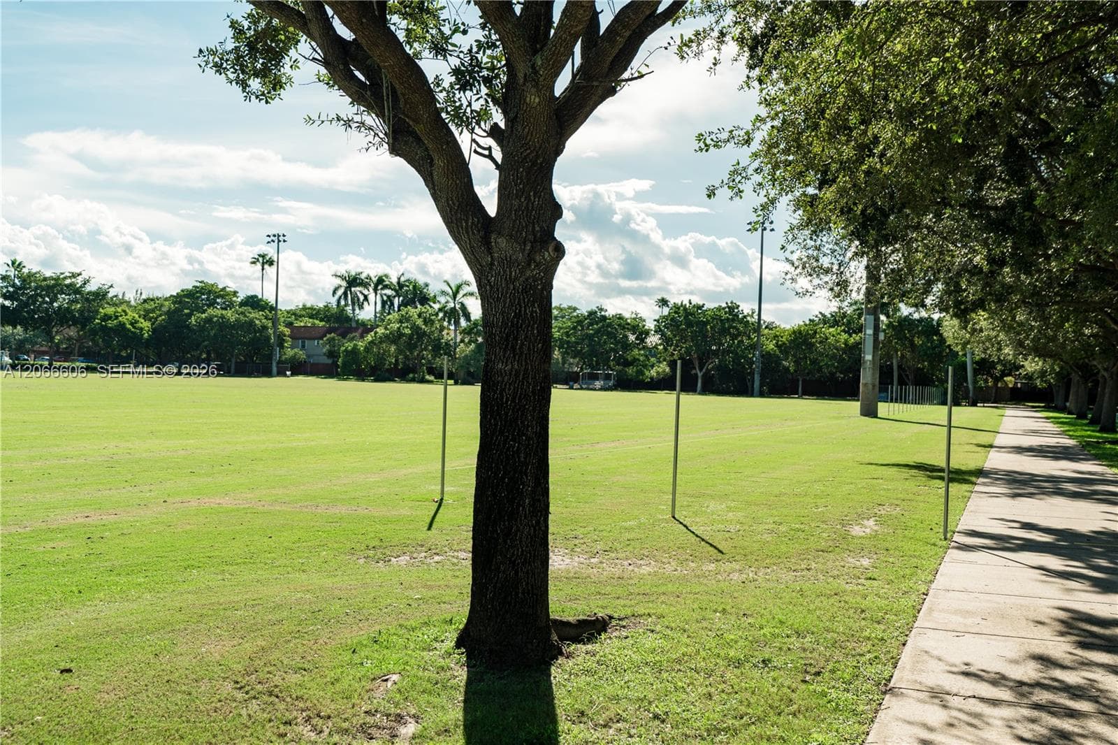 Expansive green space featuring mature trees and a paved sidewalk