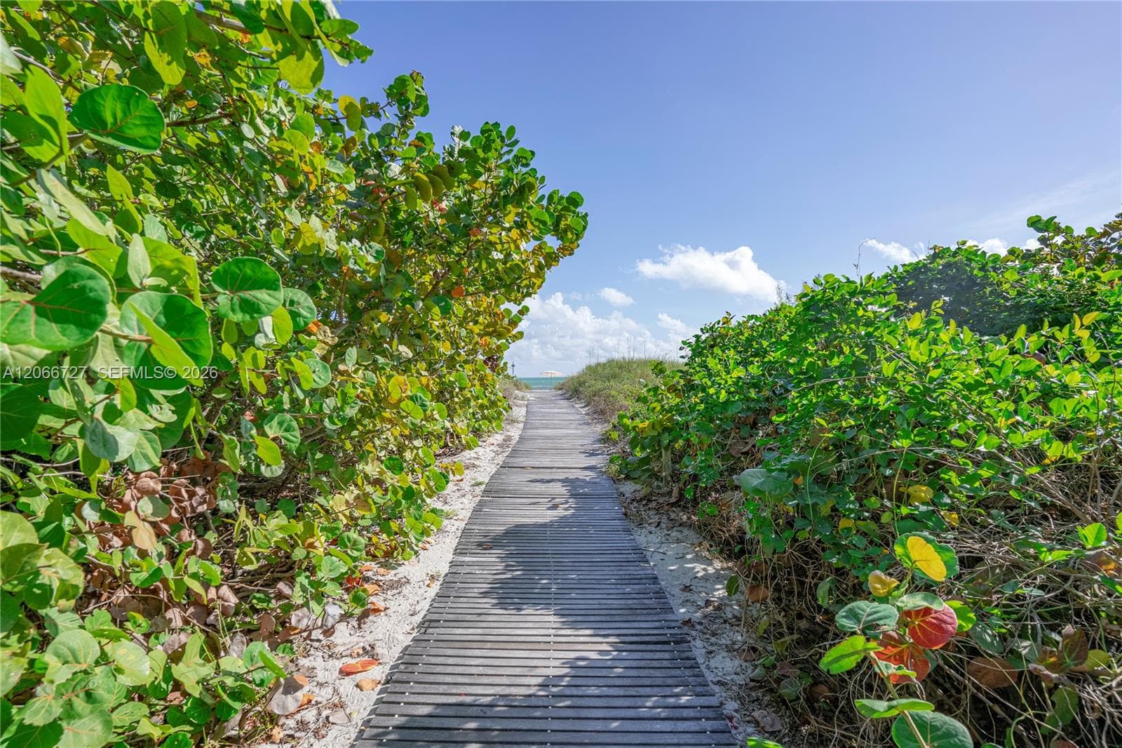 Commodore Club South · #1207 in Key Biscayne - Photo 40